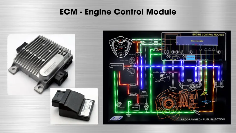 Engine Control Module Engine Control Module