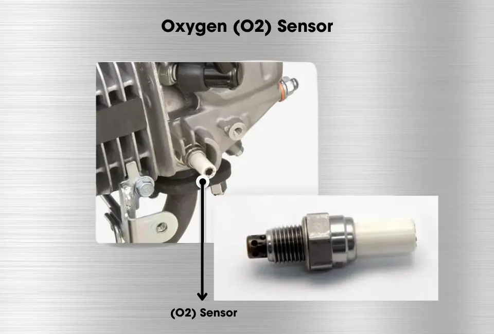 Oxygen Sensor Oxygen Sensor