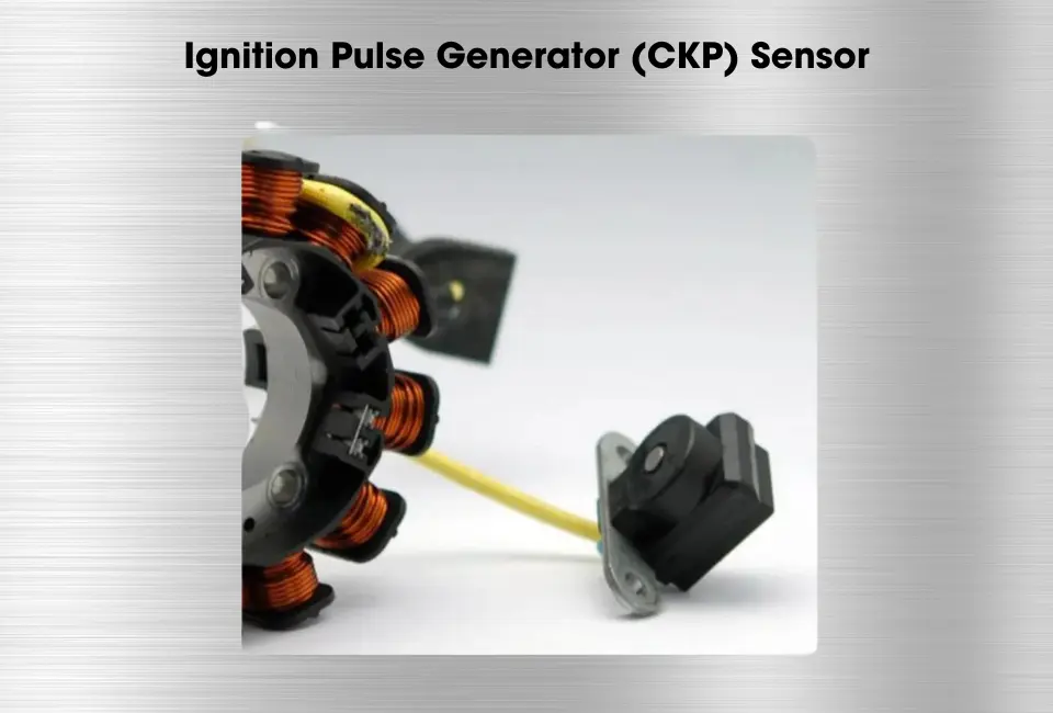Sensor CKP Sensor CKP