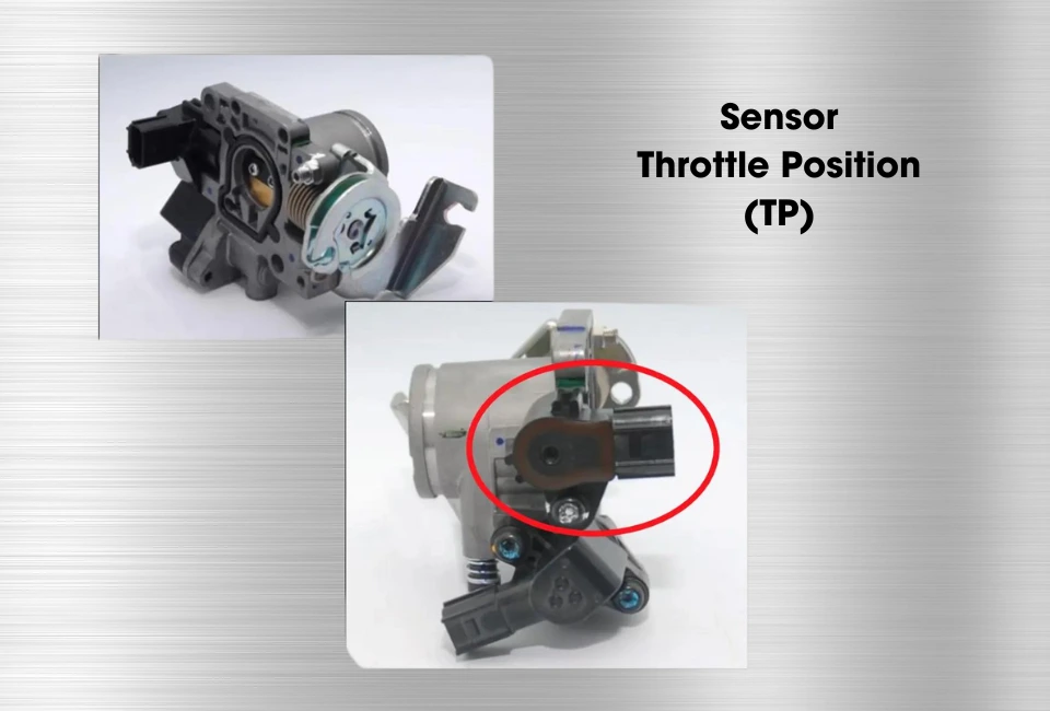 Sensor TP Sensor TP
