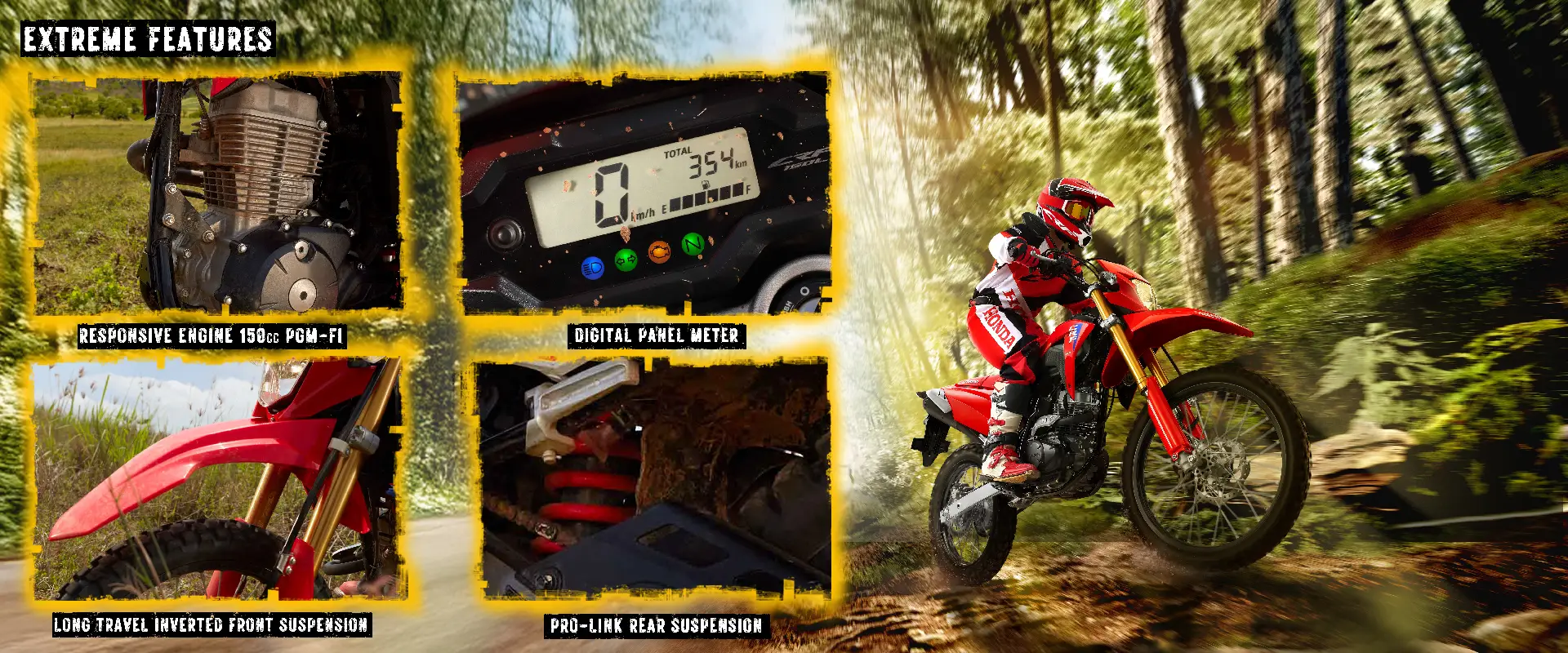 BANNER CRF 2